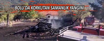 BOLU\'DA KORKUTAN SAMANLIK YANGINI