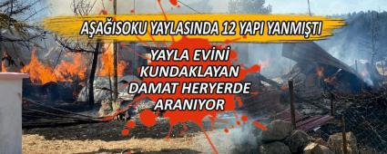 YAYLA EVN KUNDAKLAYAN DAMAT HERYERDE ARANIYOR
