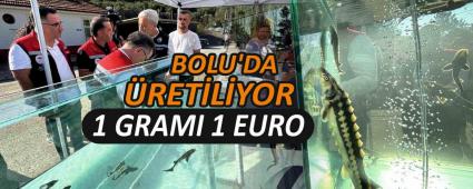 MERSN BALII\'NIN SYAH HAVYARI DNYA PAZARINA IKIYOR