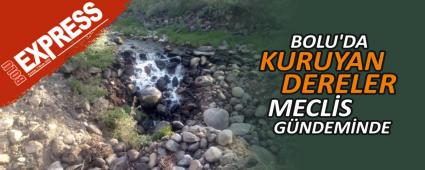 BOLU\'DA KURUYAN DERELER MECLS GNDEMNDE