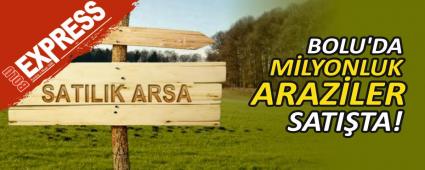 BOLU\'DA MLYONLUK ARAZLER SATITA!