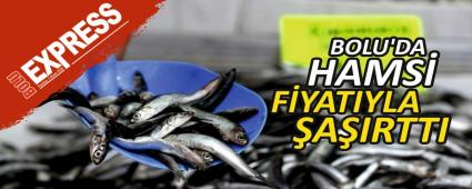 BOLU\'DA HAMS FYATIYLA AIRTTI