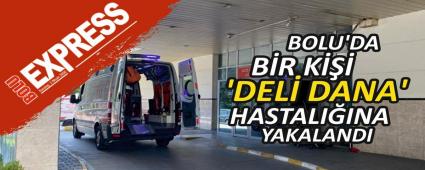 BOLU\'DA BR K \'DEL DANA\' HASTALIINA YAKALANDI