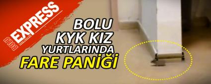 BOLU KYK KIZ YURTLARINDA FARE PAN