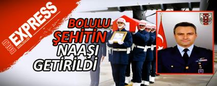 BOLULU EHTN NAAI GETRLD