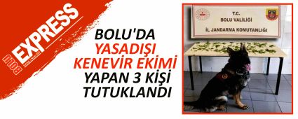 BOLU'DA YASADI�I KENEV�R EK�M� YAPAN 3 K��� TUTUKLANDI