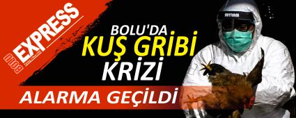 BOLU'DA KUŞ GRİBİ KRİZİ, ALARMA GEÇİLDİ BOLU'DA KUŞ GRİBİ KRİZİ, ALARMA GEÇİLDİ